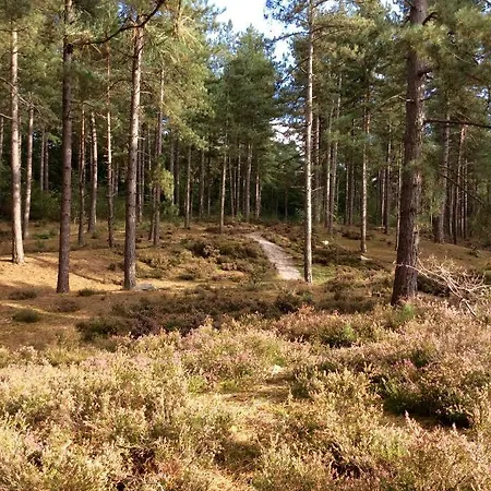 別荘 La Maison Du Parc Affaires Et Tourisme クレピ・アン・ヴァロワ