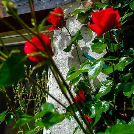 La Maison Du Parc Affaires Et Tourisme * クレピ・アン・ヴァロワ